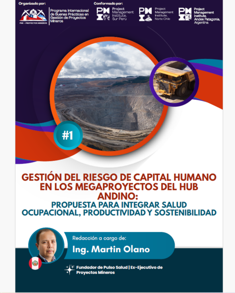 Publicación N°1 | Gestión del Riesgo de Capital Humano en los Megaproyectos del Hub Andino